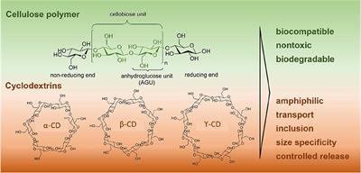 Combining Cellulose and Cyclodextrins: Fascinating Designs for Materials and Pharmaceutics